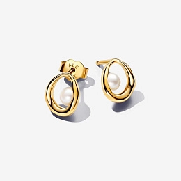 PANDORA Gold Plated metal blend Earring / 263295C01