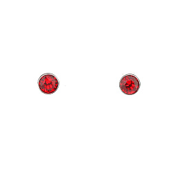 Earring/22623 227