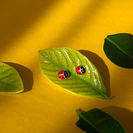 Earring/142969