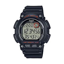 Quartz Wristwatch/WS-2100H-1AVDF