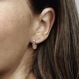 Earring/262567C01