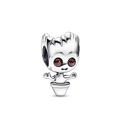 Charm/792554C01