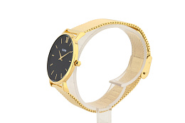 Quartz Wristwatch / CW0101203017