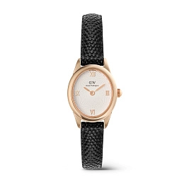 Quartz Wristwatch / DW00100893