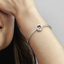PANDORA Moments Charm / 797868