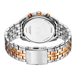 Citizen Quartz Wristwatch Men/AN8216-50L