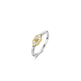 Ti Sento Sterling Silver Ring/12311MW-54