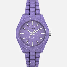 Quartz Wristwatch/TW2V77300