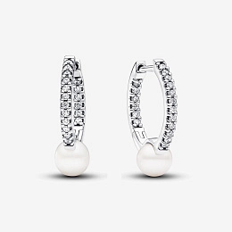 Earring / 293171C01