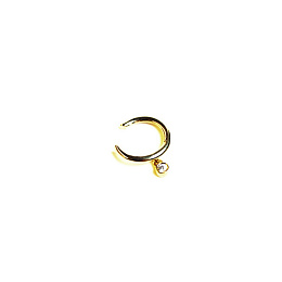Earring/2593510