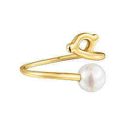 Ring / 1004653611