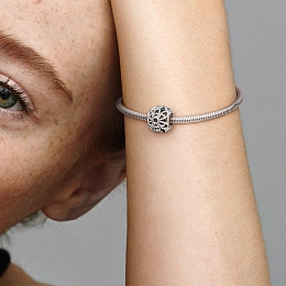 PANDORA Moments Charm / 791282