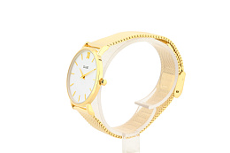 Quartz Wristwatch / CW0101203007