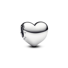 PANDORA Moments ჩარმი / 793439C00