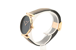 Quartz Wristwatch / CW0101208005