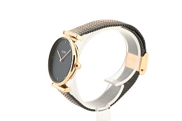 Quartz Wristwatch / CW0101208005