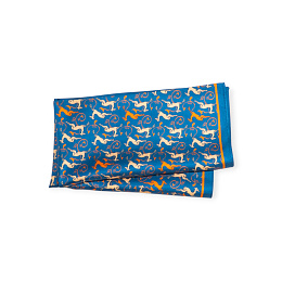 Scarf / 10-SCRF-SLK-11-06-52x52