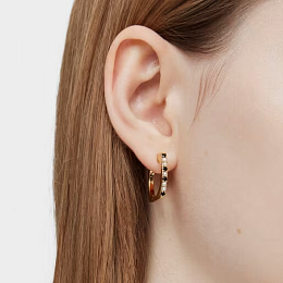 Earring/1004093800