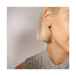 Skagen Stainless Steel Earring/SKJ1791040