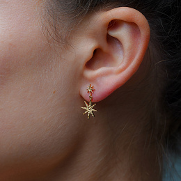 Earring/23009500