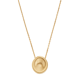 Skagen Stainless Steel Necklace/SKJ1750710