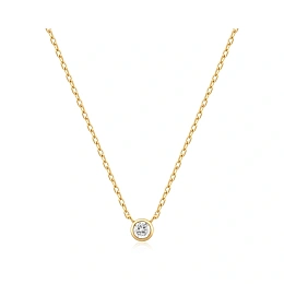 Ania Haie Necklace & Pendant / N059-01G