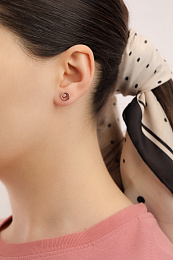 Skagen Earring / SKJ0853791