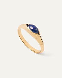 Ring/AN01-A49-12