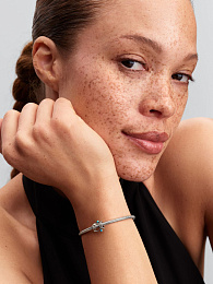 Pandora Moments Charm / 793819C01