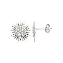 Earring / 1570310