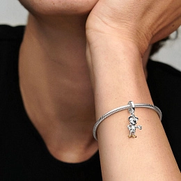 Charm/792812C01