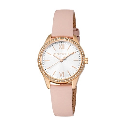 Quartz Wristwatch/ES1L407L0025