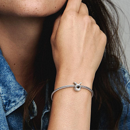 PANDORA Moments Charm / 798418C01