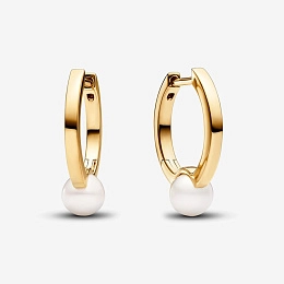 Earring/263170C01