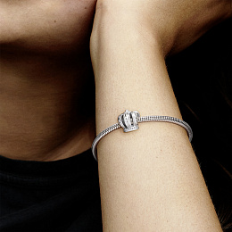 PANDORA Moments Charm / 790930