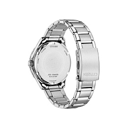 Citizen Eco-drive Watch Women / FE6170-88L