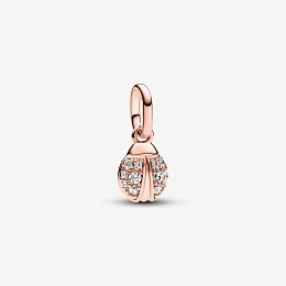 Charm/783043C01