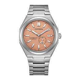 Mechanical Wristwatch / NJ0180-80Z
