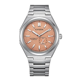 Mechanical Wristwatch / NJ0180-80Z