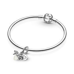 Moments Charm/799352C01