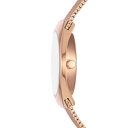 Quartz Wristwatch/SKW3078