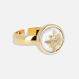 Zag Bijoux Surgical Stainless Steel Ring / SRM21921-01SEL